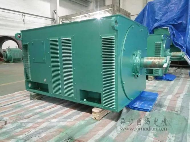 西瑪電機Y5603-10 560KW <a href=http://cai668.com.cn/new/new-47-621.html target='_blank'><a href=http://cai668.com.cn/new_tags_225.html target='_blank'>10kv高壓電機</a></a>